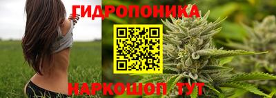 прущие крисы Лесосибирск