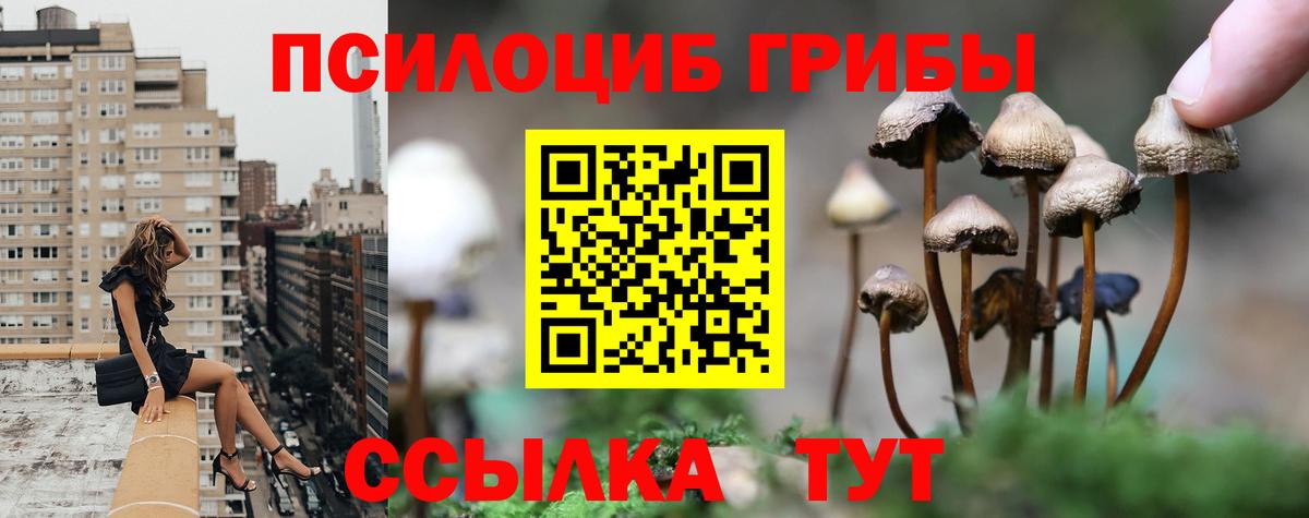 Галлюциногенные грибы GOLDEN TEACHER Иваново